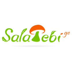salatebi.ge