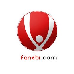 fanebi.com