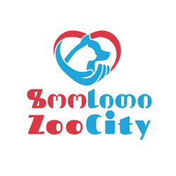 zoocity.ge