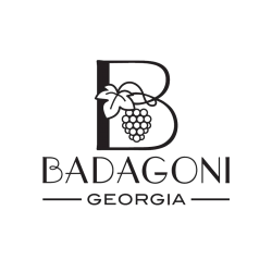 badagoni.com