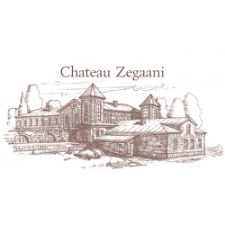 chateau-zegaani.com