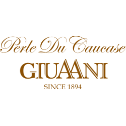 giuaani.ge