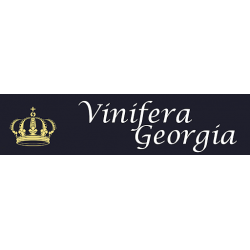 viniferageorgia.com