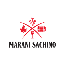 maranisachino.ge