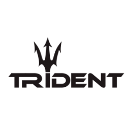 trident.com.ge